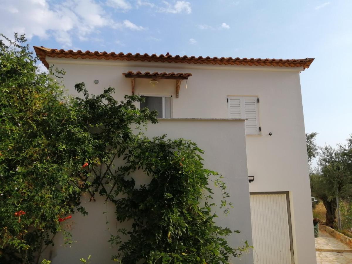 Appartement In Olive Groove House Peloponnesos Western Mani Kalianeika Екстериор снимка