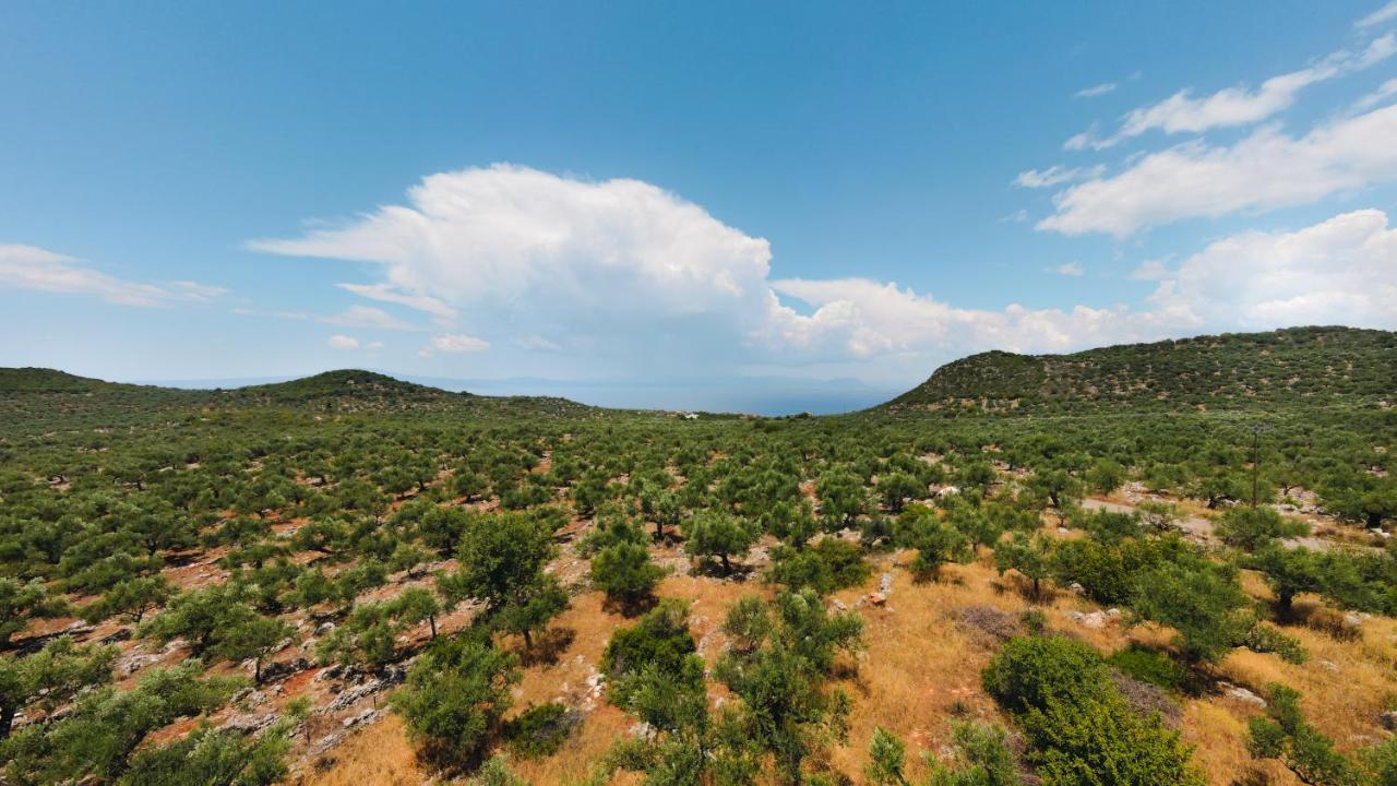 Appartement In Olive Groove House Peloponnesos Western Mani Kalianeika Екстериор снимка